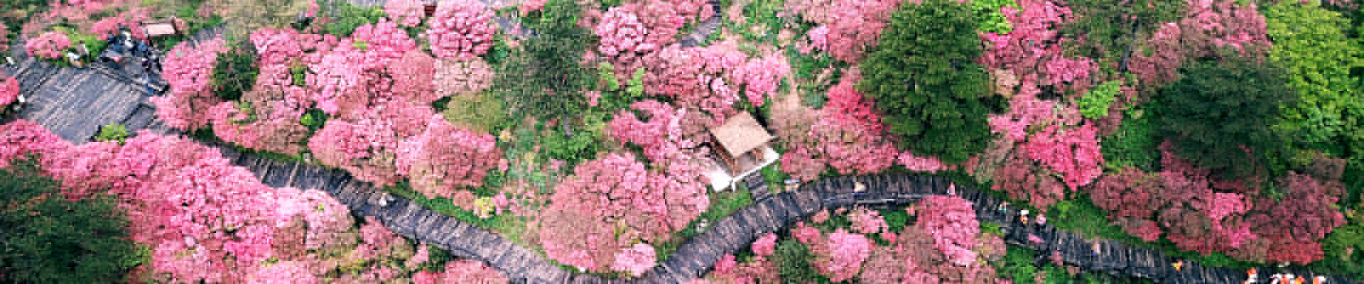 <strong>用專業解決問題，為客戶創造價值！</strong>